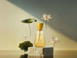 The Ritual of Seshen Home Perfume Спрей-ароматизатор для дому 12446 фото 2
